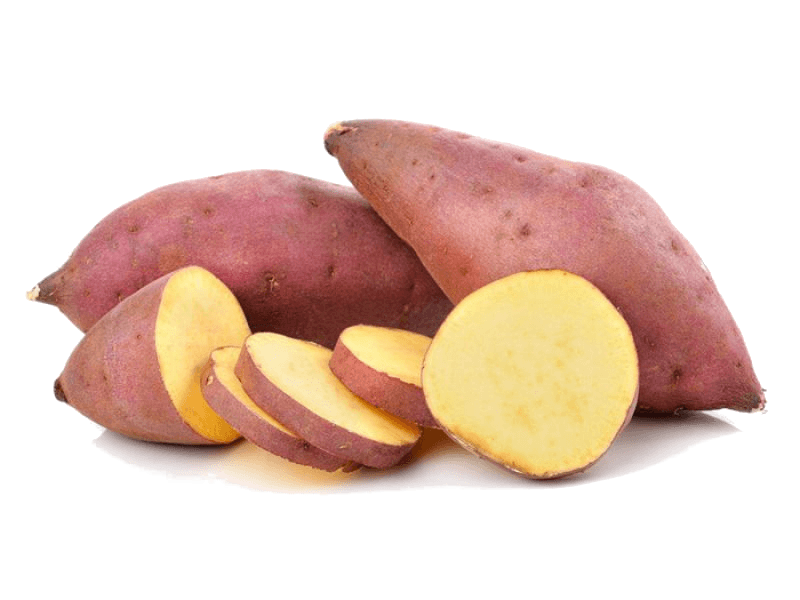 (HỘ KINH DOANH) MAI VĂN HỒ