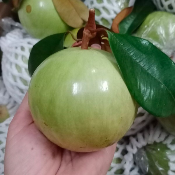 (HỘ KINH DOANH) MAI VĂN HỒ